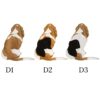 il 1000xN.4677496818 6i46 - Basset Hound Gifts