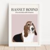 il 1000xN.5133603237 dl1q - Basset Hound Gifts