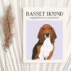 il 1000xN.5133815629 plg9 - Basset Hound Gifts