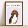 il 1000xN.5133817045 qj1k - Basset Hound Gifts