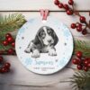 il 1000xN.5463609809 jzmq - Basset Hound Gifts