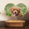 il 1000xN.4765023730 lusg - Basset Hound Gifts