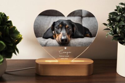 il 1000xN.4813284773 my4v - Basset Hound Gifts